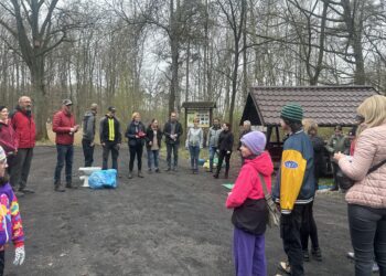 Czysty las wokół nas