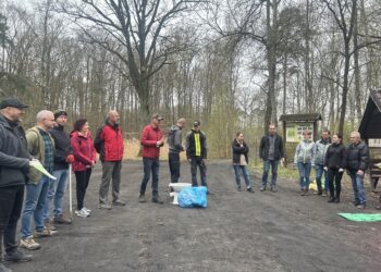 Czysty las wokół nas