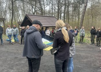 Czysty las wokół nas