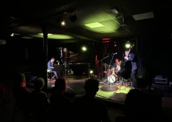 Hipnotyzujący koncert jazzu i folku