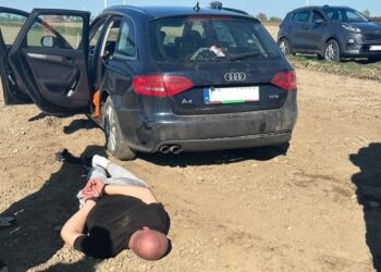 Brawurowy pościg zakończony w polu – złodziejski duet w rękach policji