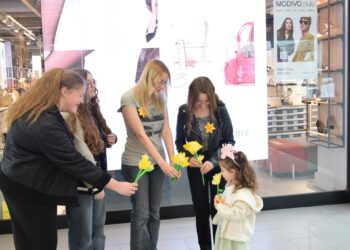 Akcja Żonkile w Krotoszynie