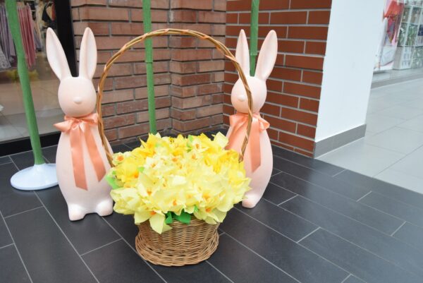 Akcja Żonkile w Krotoszynie