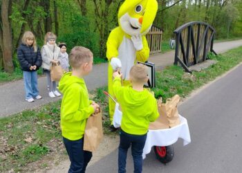 Zajączek Witus w Kaszowie