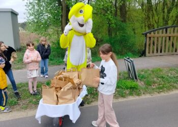 Zajączek Witus w Kaszowie