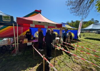 XVII Rajd „Śladami Ryszarda Szurkowskiego” w Krośnicach