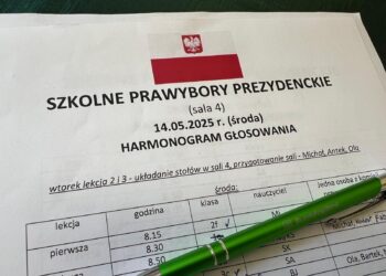 Młodzi głosują w ZSP2