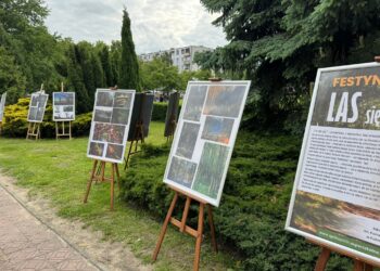 „Las się Żyje” – udany festyn w Trójce!