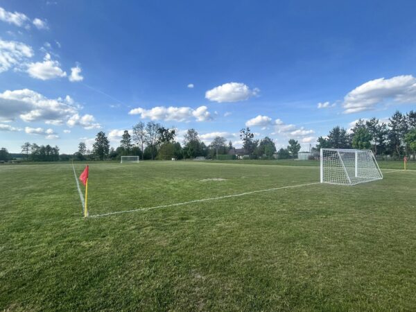 Dwa boiska, jedna pasja