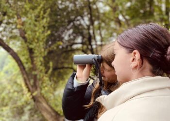 Wyjątkowa przygoda nad stawami