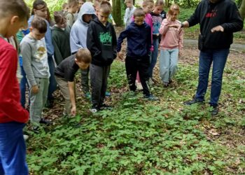 XXVII Festiwal Ekologiczny w Cieszkowie