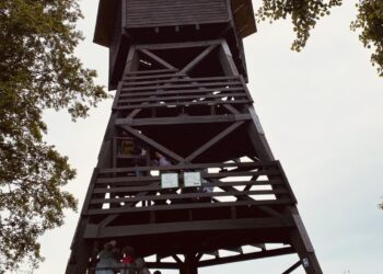 Wyjątkowa przygoda nad stawami