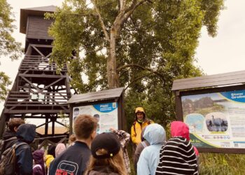 Wyjątkowa przygoda nad stawami