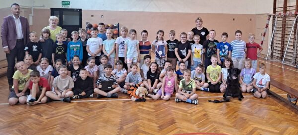 Pies ratownik w akcji