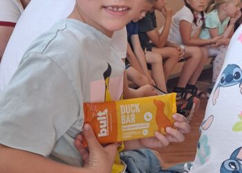 Pies ratownik w akcji