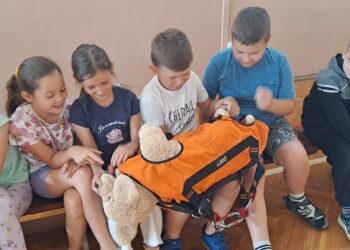 Pies ratownik w akcji