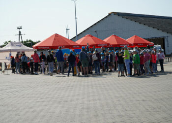 260 mlecznych uśmiechów