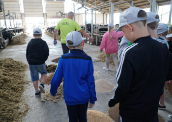 260 mlecznych uśmiechów