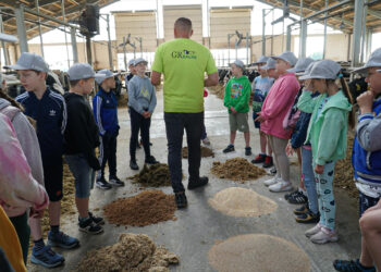 260 mlecznych uśmiechów