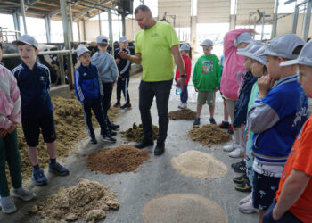 260 mlecznych uśmiechów