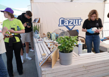 260 mlecznych uśmiechów