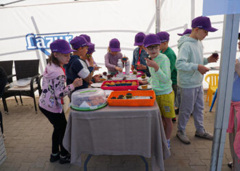 260 mlecznych uśmiechów