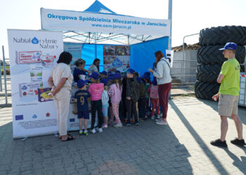 260 mlecznych uśmiechów