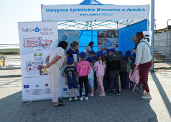 260 mlecznych uśmiechów