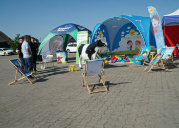 260 mlecznych uśmiechów