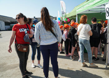 260 mlecznych uśmiechów