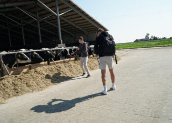 260 mlecznych uśmiechów