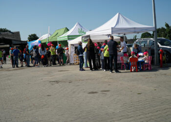 260 mlecznych uśmiechów