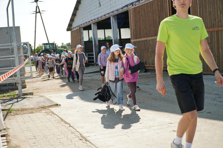 260 mlecznych uśmiechów