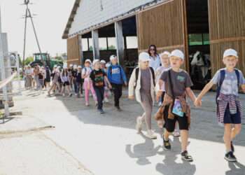 260 mlecznych uśmiechów