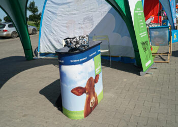 260 mlecznych uśmiechów