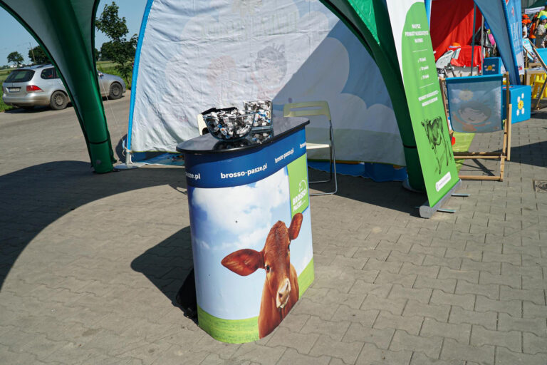 260 mlecznych uśmiechów