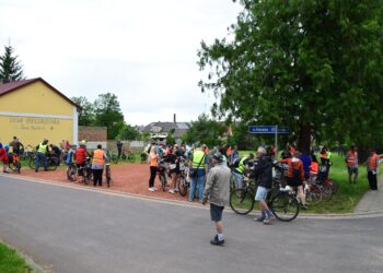 Odjechani bibliotekarze