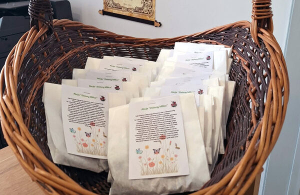 Darmowe nasiona dla mieszkańców