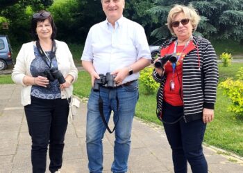 Spacer Ornitologiczny nad Zalewem Milickim