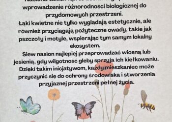 Darmowe nasiona dla mieszkańców