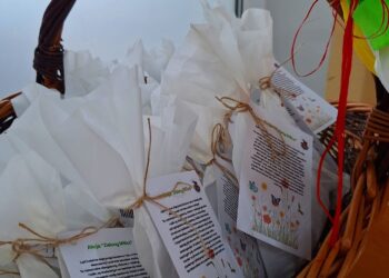 Darmowe nasiona dla mieszkańców