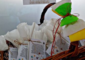 Darmowe nasiona dla mieszkańców