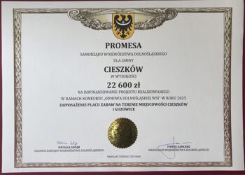 Nowe środki wojewódzkie