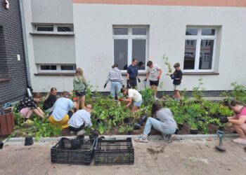 Gmina Milicz działa na rzecz klimatu