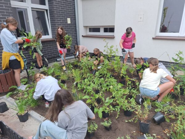 Gmina Milicz działa na rzecz klimatu