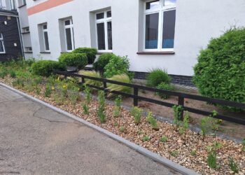 Gmina Milicz działa na rzecz klimatu