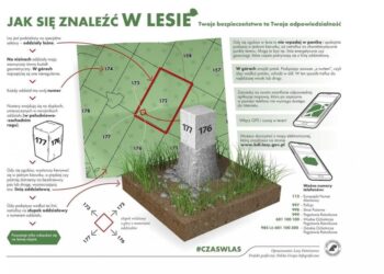 Bezpieczeństwo przede wszystkim!