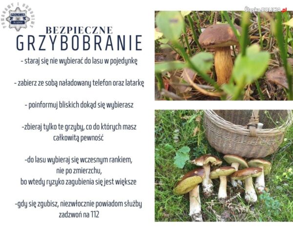 Bezpieczeństwo przede wszystkim!
