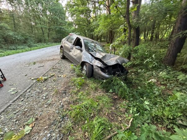 Jechał pod wpływem – uderzył w drzewo