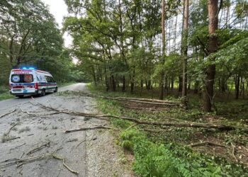 Jechał pod wpływem – uderzył w drzewo